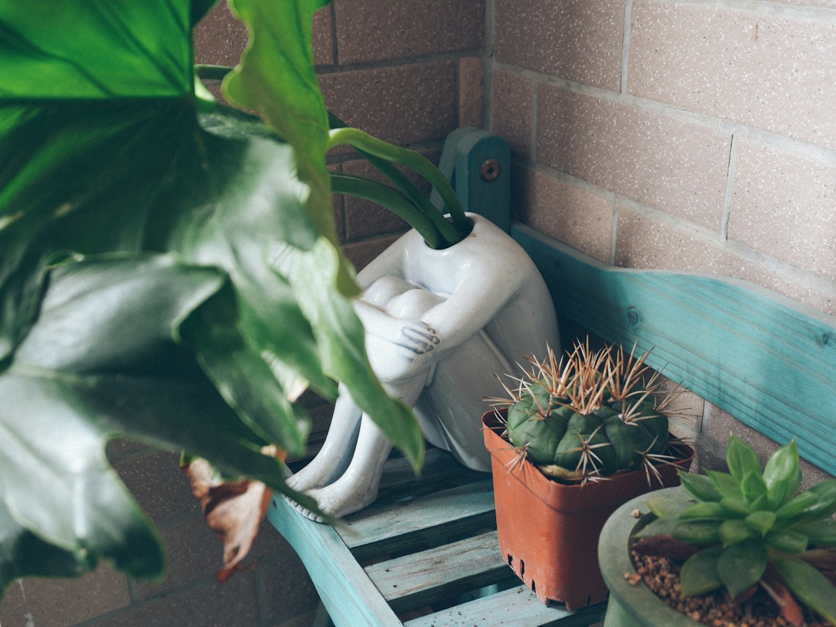 a couple of potted plants sitting on top of a wooden bench
